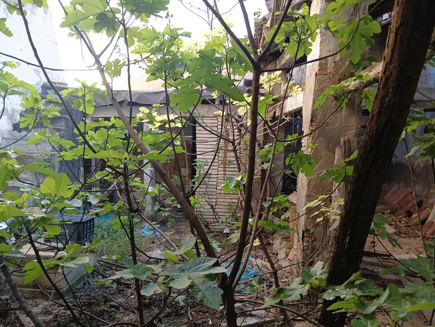 Maison à vendre à Vilamarxant, imagen 7