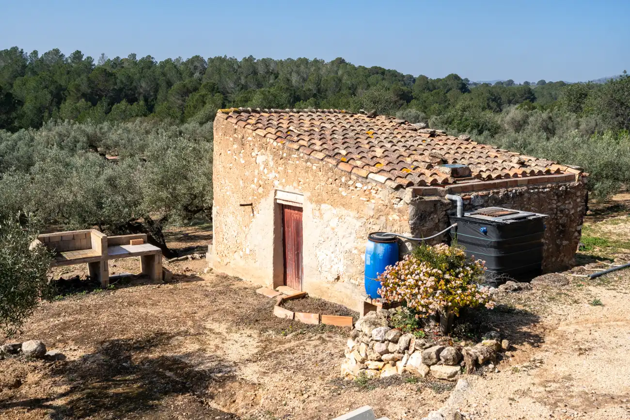 Terrain rustique à vendre à Camí Del Filato 1093, imagen 4