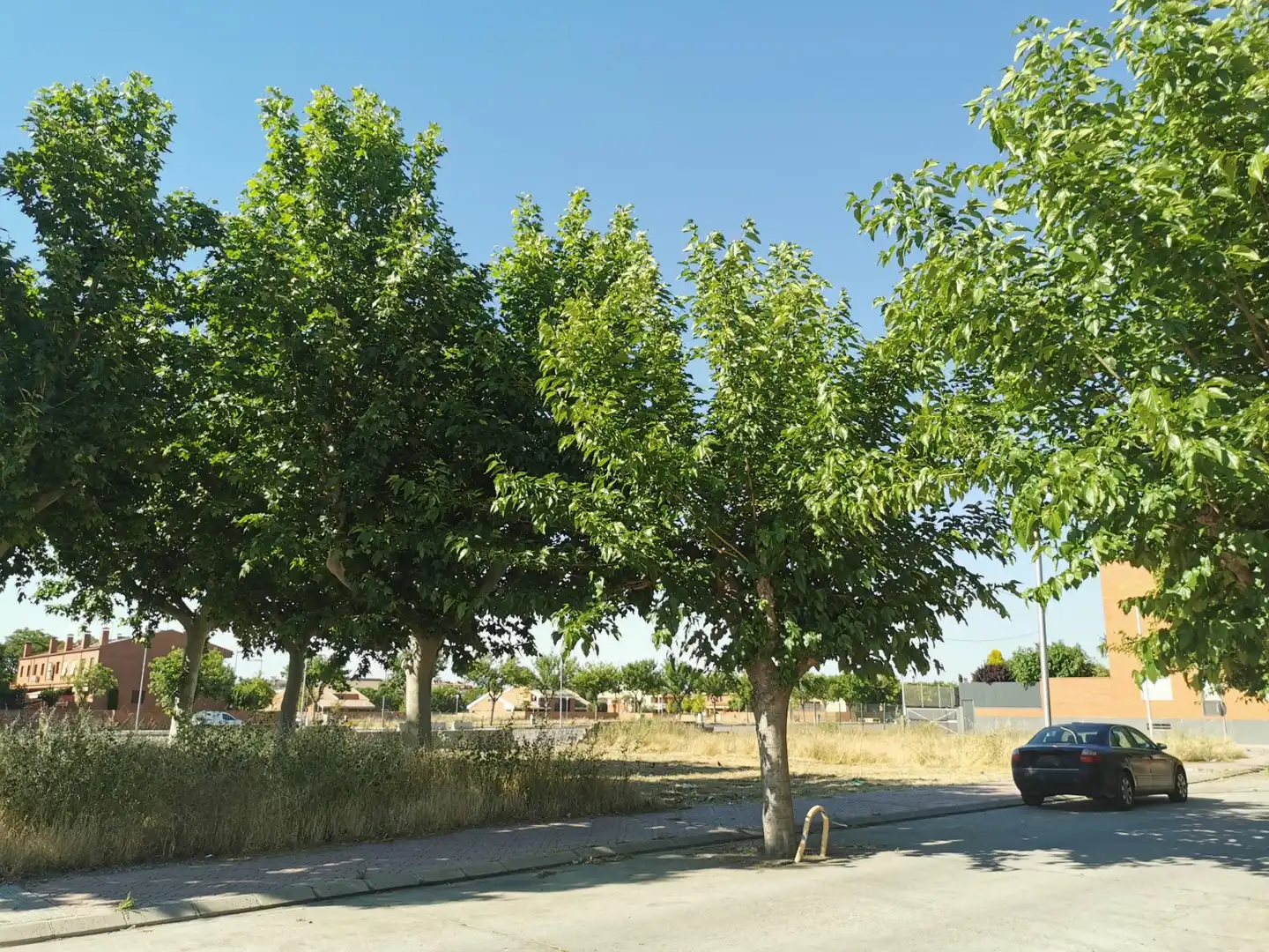 Terreno residencial en venta en del Mestre Enric Subirós, imagen 5