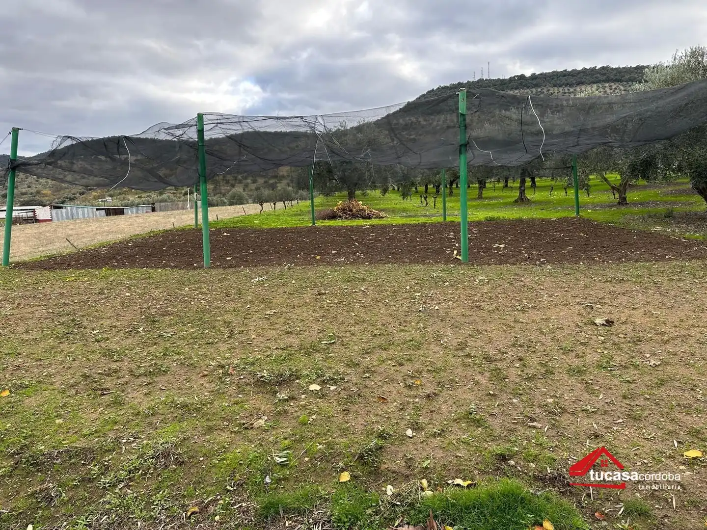 Terreno rustico in vendita a Villanueva del Rey, imagen 14