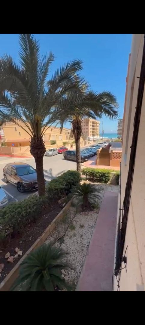 Exterior view of Flat to rent in Guardamar del Segura  with Furnished, Oven and Washing machine