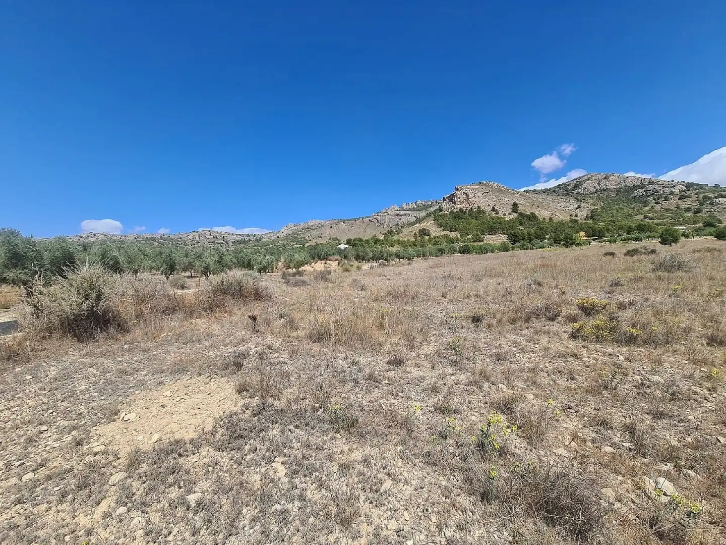 Rural land for sale in Las Tiesas