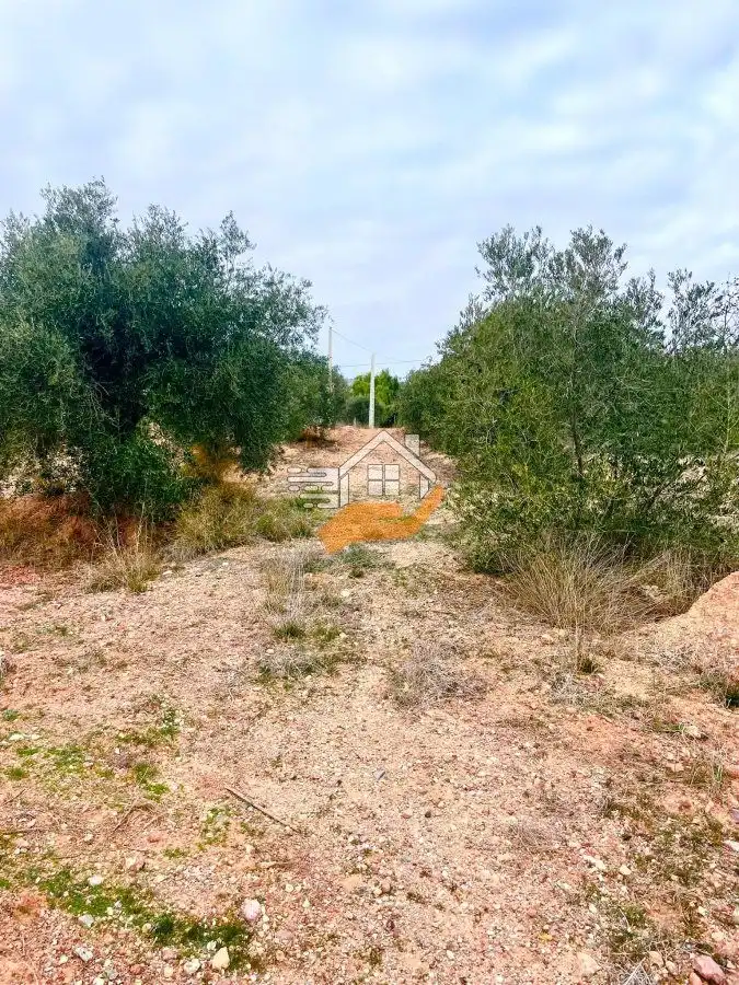 Residential land for sale in Vélez-Rubio, imagen 11