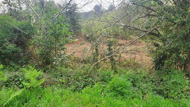 Terreno residencial en Venta en Casal en Vilarmaior