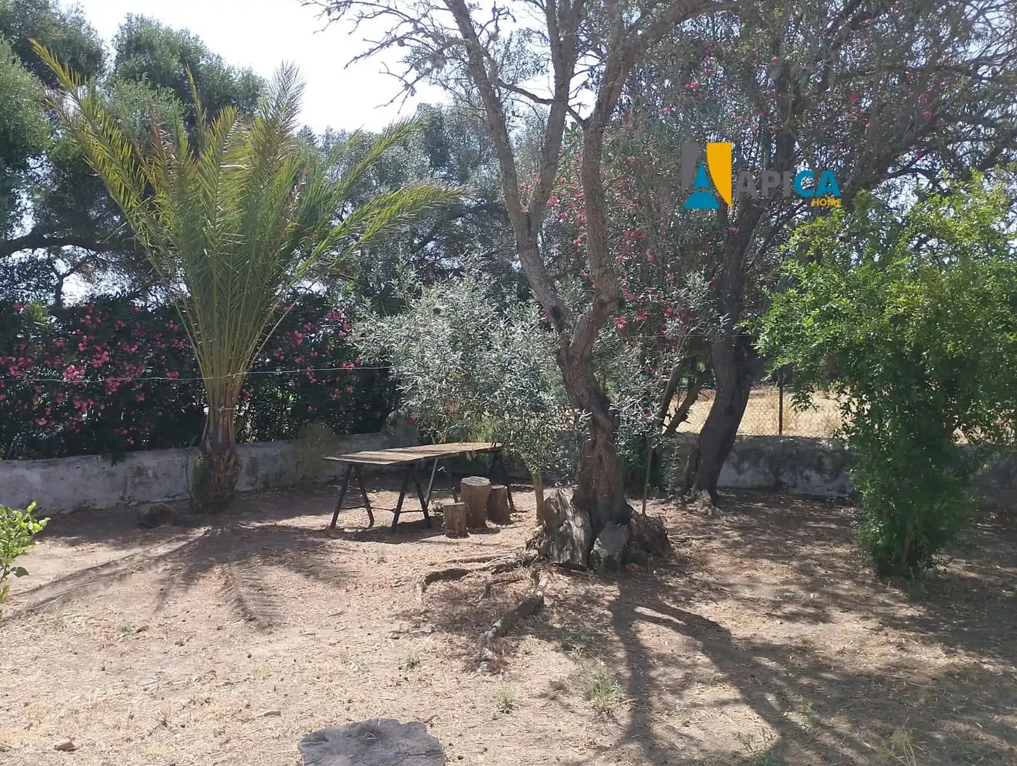 Xalet en venda a Vejer, imagen 5