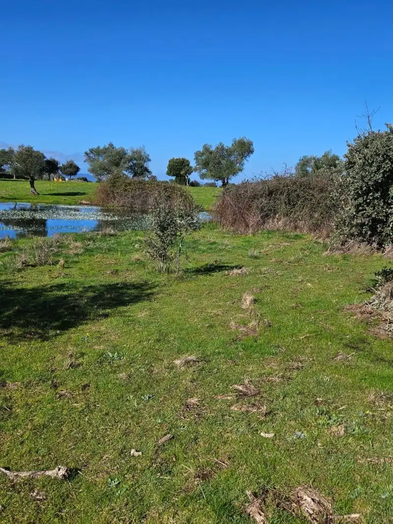 Terreni e lotti in vendita a Aldea del Cano, imagen 46
