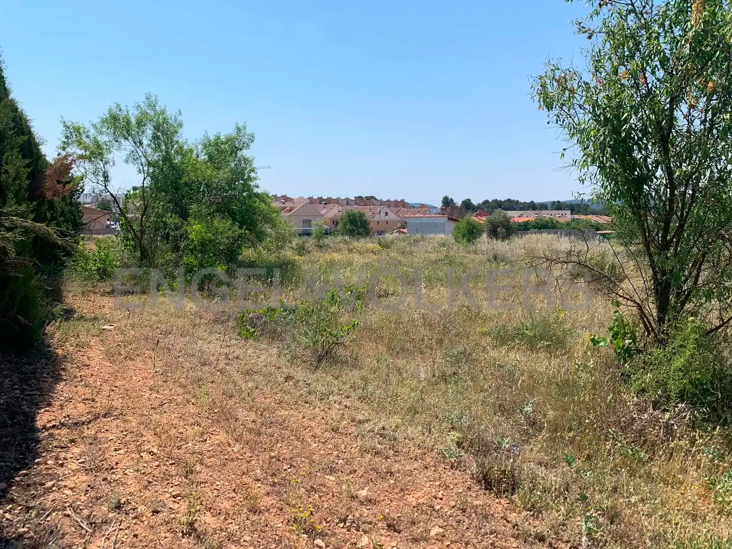 Terreny rústic en venda a Requena, imagen 10