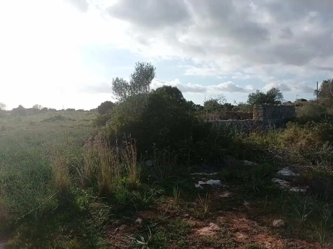 Rustikales Grundstück zum Verkauf in Santanyí Poble, imagen 2