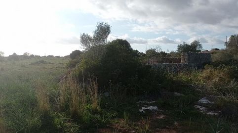 Entre Santanyí y Cala Figuera a 50 m. de la carretera., imatge 2