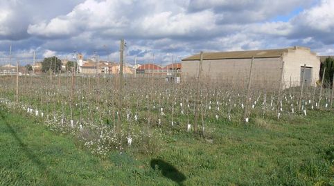 NAVE INDSUTRIAL  PLANTACIÓN DE FRUTALES, image 3