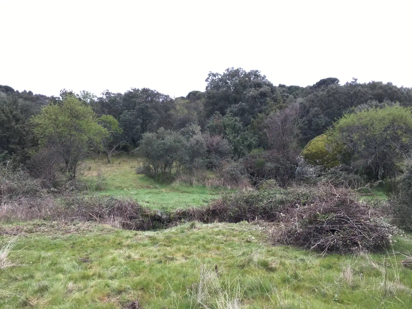 Rural land for sale in Cadalso de los Vidrios, imagen 15