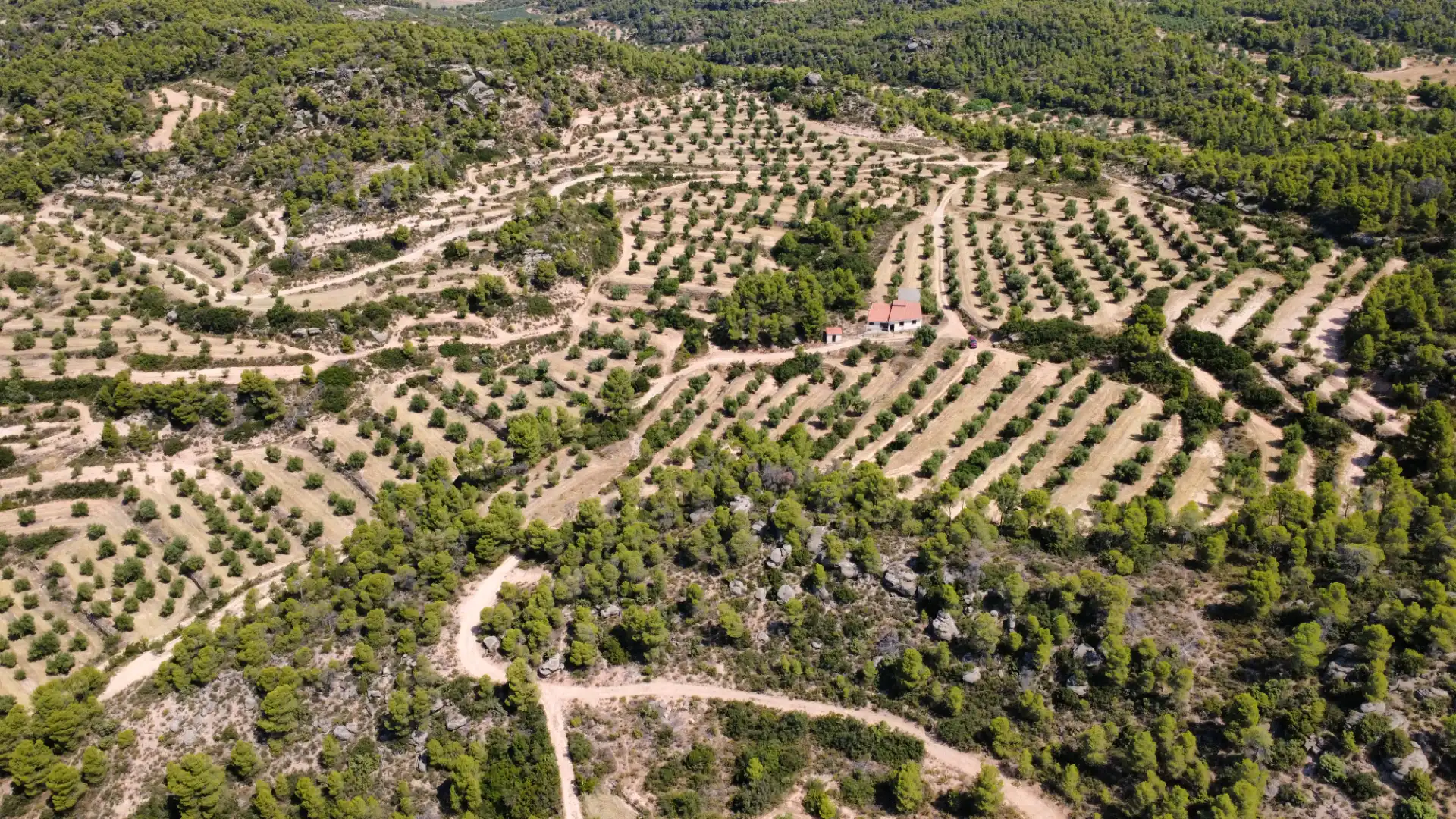 Terreno en venta en Cervià de Les Garrigues