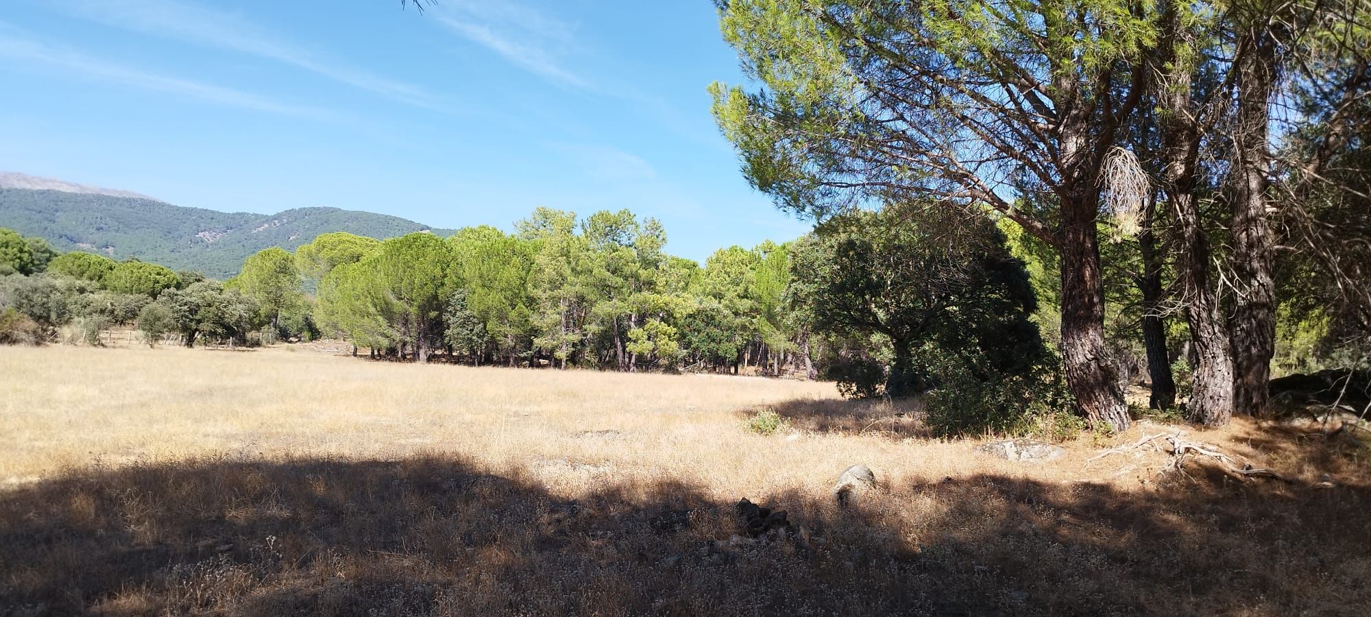 Terreny en venda en Piedralaves