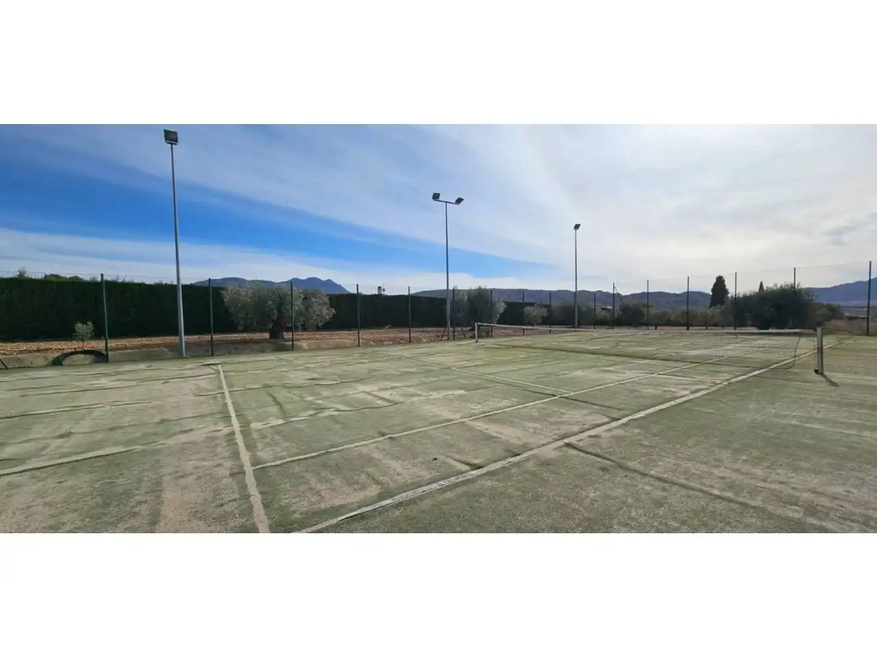 Chalet con piscina en venta en Jumilla, imagen 20