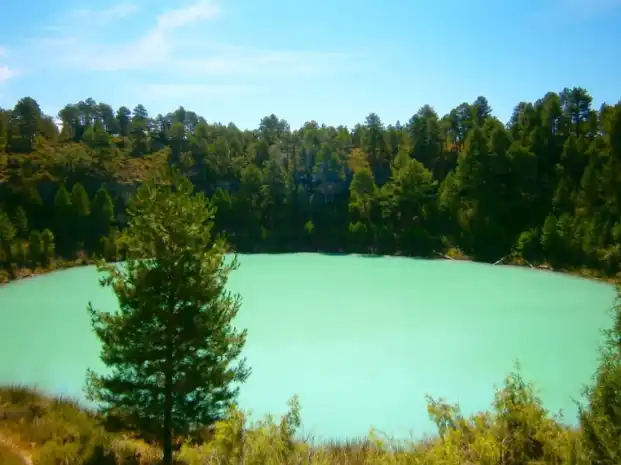 Terreny rústic en venda a Cañada del Hoyo, imagen 11