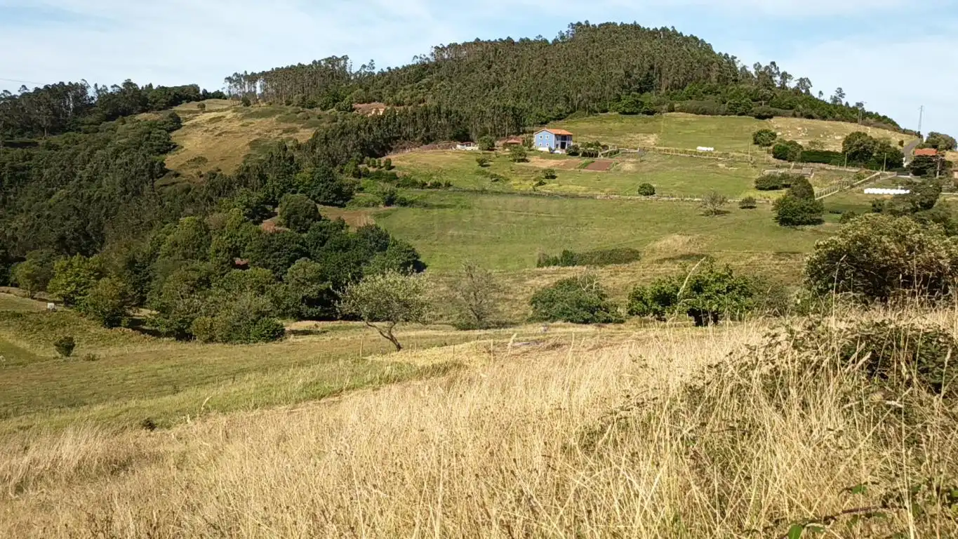 Grundstücke und Bauplätze zum Verkauf in Aldea Argañosa, imagen 17