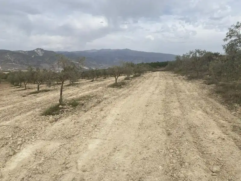 Casa rústica en venda a Padul, imagen 16