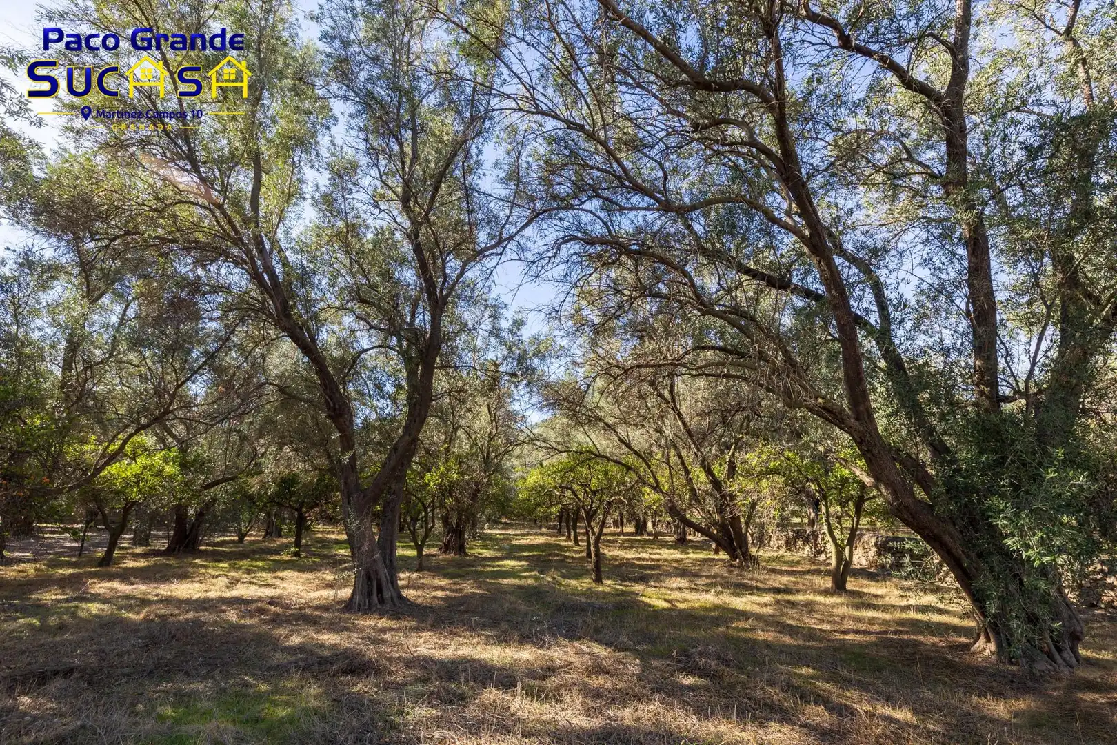 Terreno rustico in vendita a PINOS DEL VALLE, imagen 5