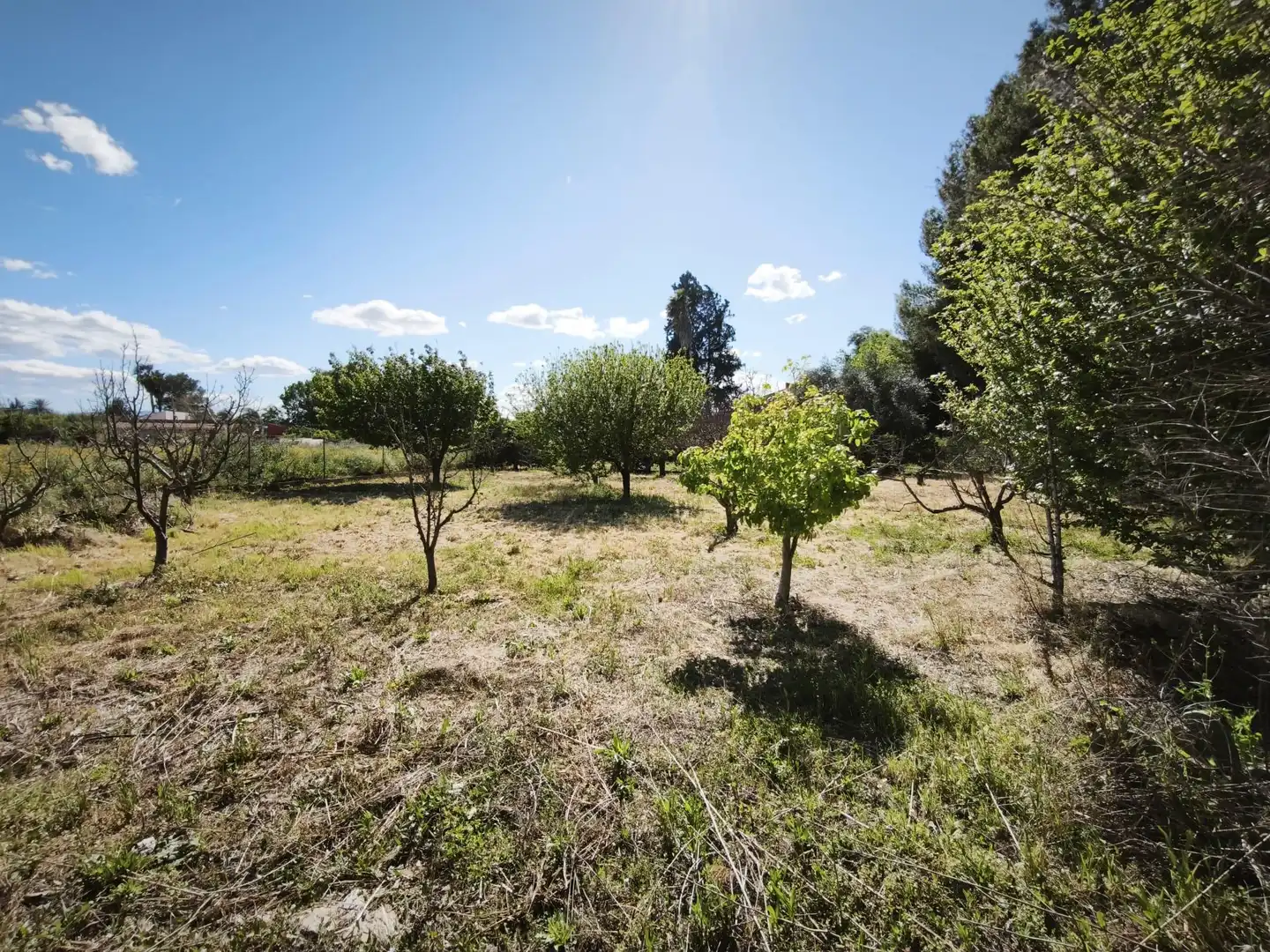 Houses for sale in Molina de Segura