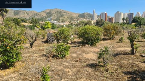 Foto 2 de Finca rústica en venda a Rincón Bajo, Benidorm