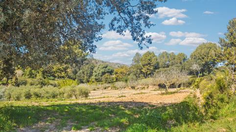 Photo 4 of Residential for sale in Zona d'Interior, Illes Balears