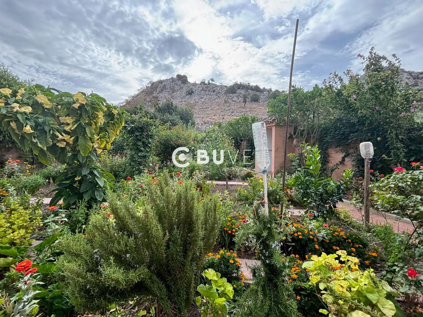 Jardí de Casa o xalet en venda en Cuevas del Becerro amb Aire condicionat, Calefacció i Jardí privat
