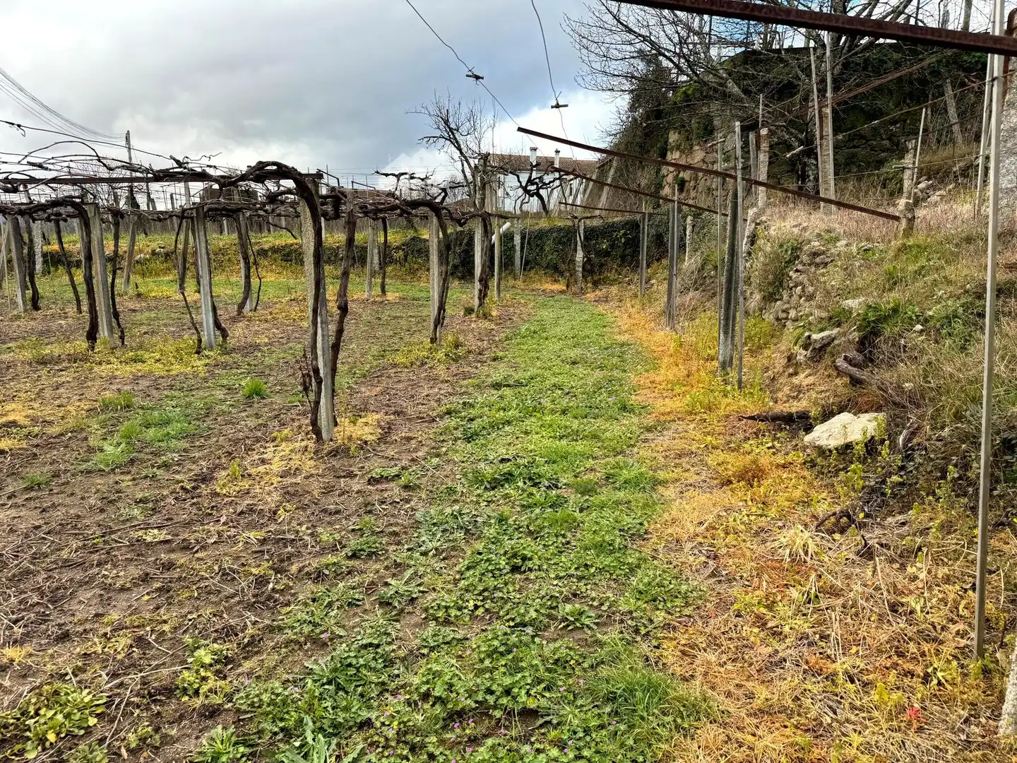 Rural land for sale in Arbo, imagen 21