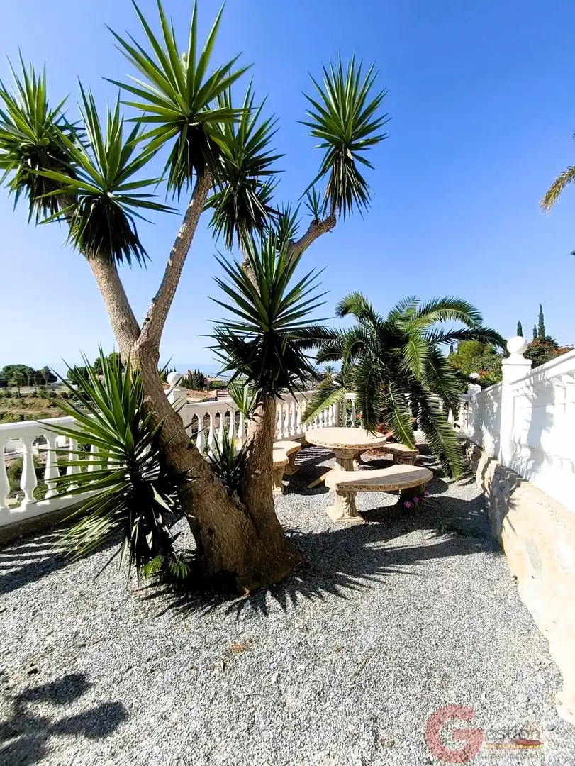 Villa con piscina in vendita a Motril  ciudad, imagen 11