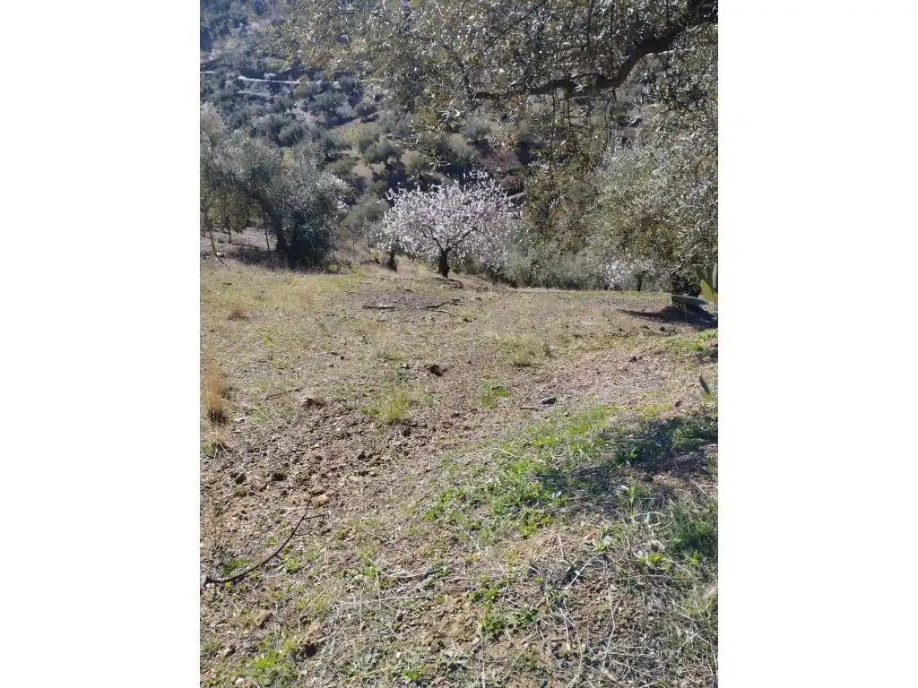 Casa o chalet en venta en Riogordo