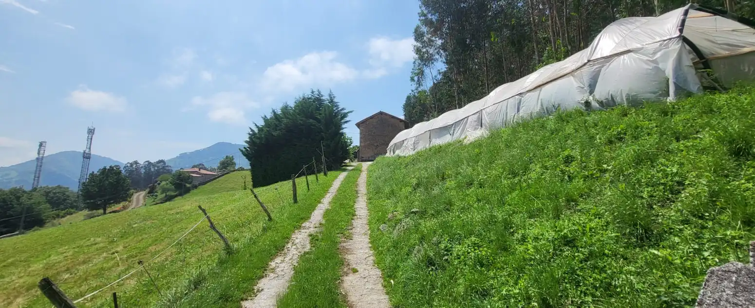 Vista exterior de Casa o chalet en venta en Los Corrales de Buelna  con Jardín privado