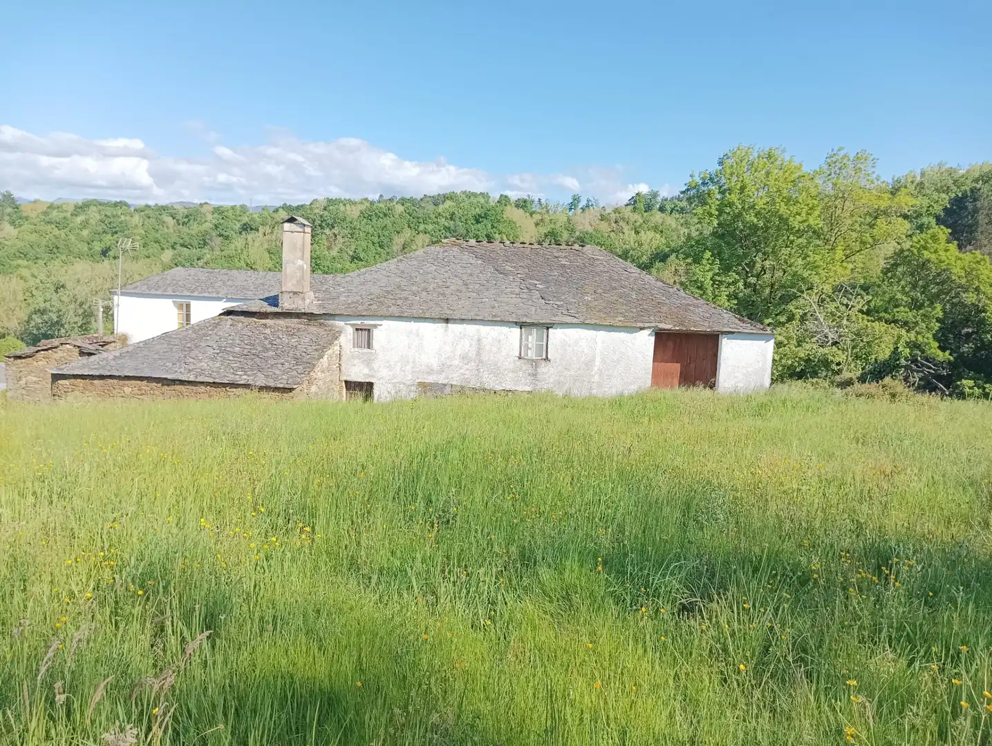 Country homes for sale in Becerreá  with Private garden