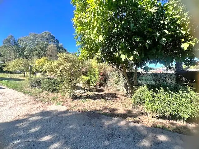 Vista exterior de Casa o xalet en venda en Friol amb Jardí privat, Terrassa i Moblat