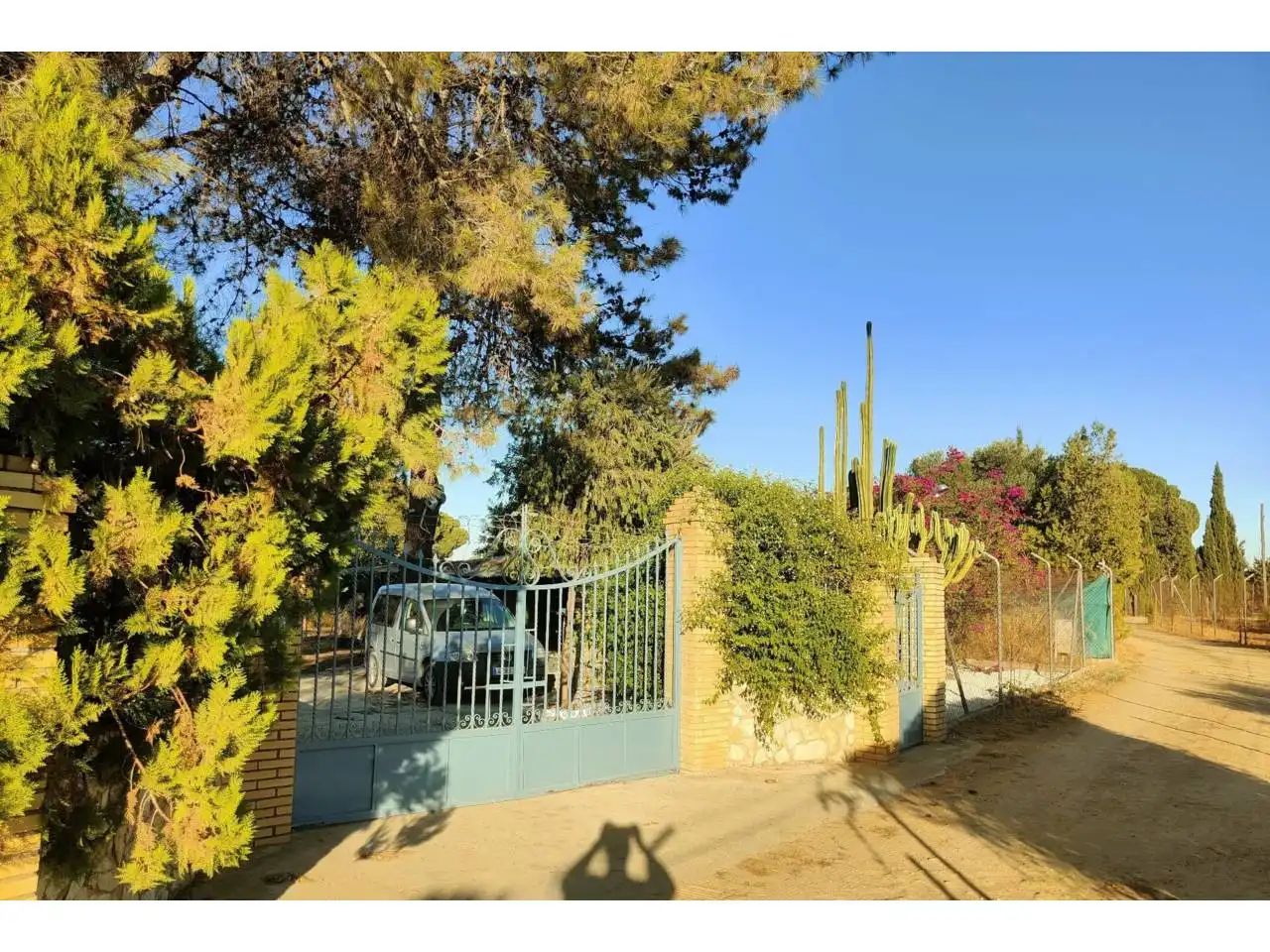 Vista exterior de Casa o chalet en venta en Carmona con Aire acondicionado, Jardín privado y Terraza