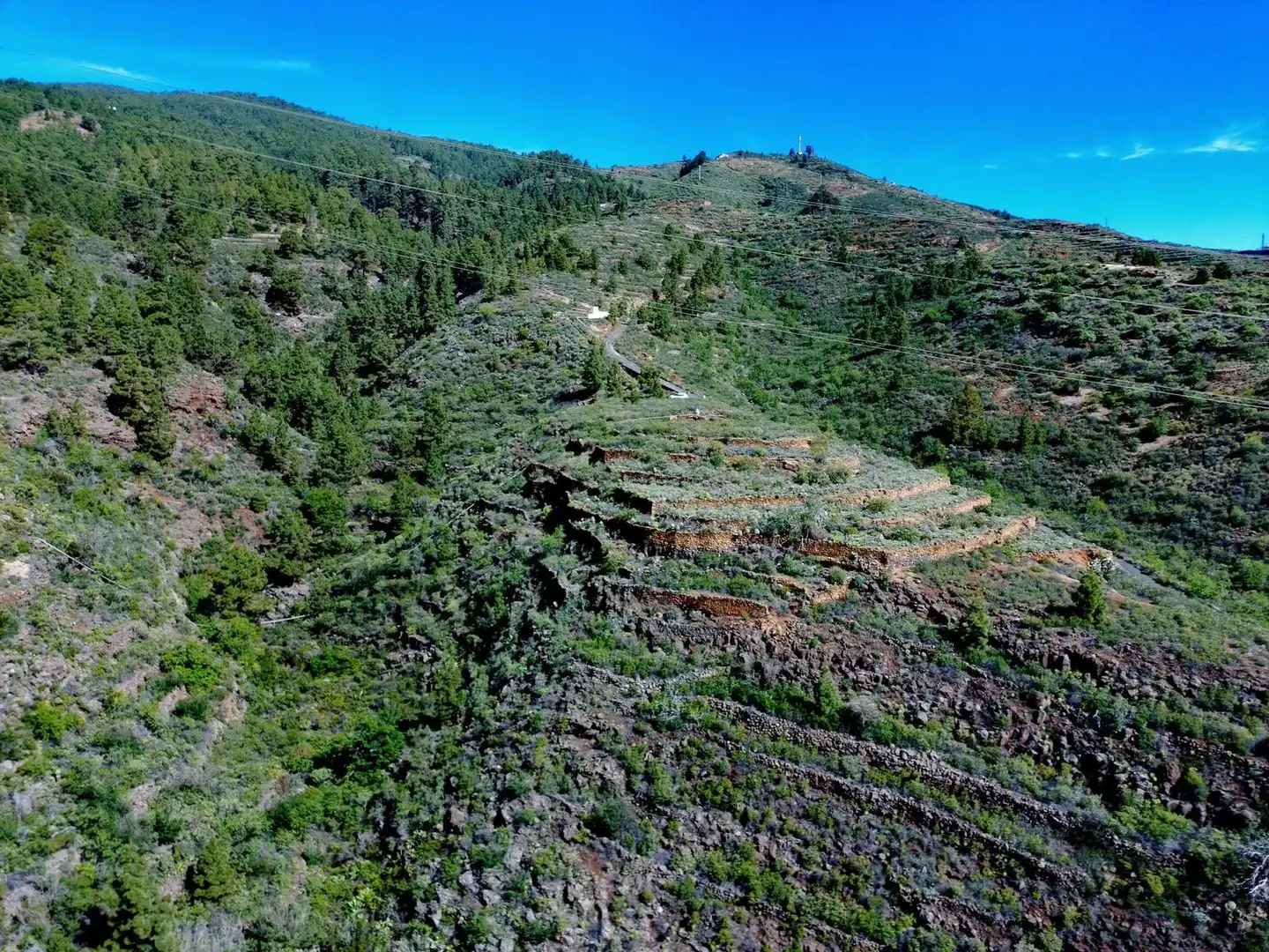 Rural land for sale in El Escobonal - Pájara, imagen 2