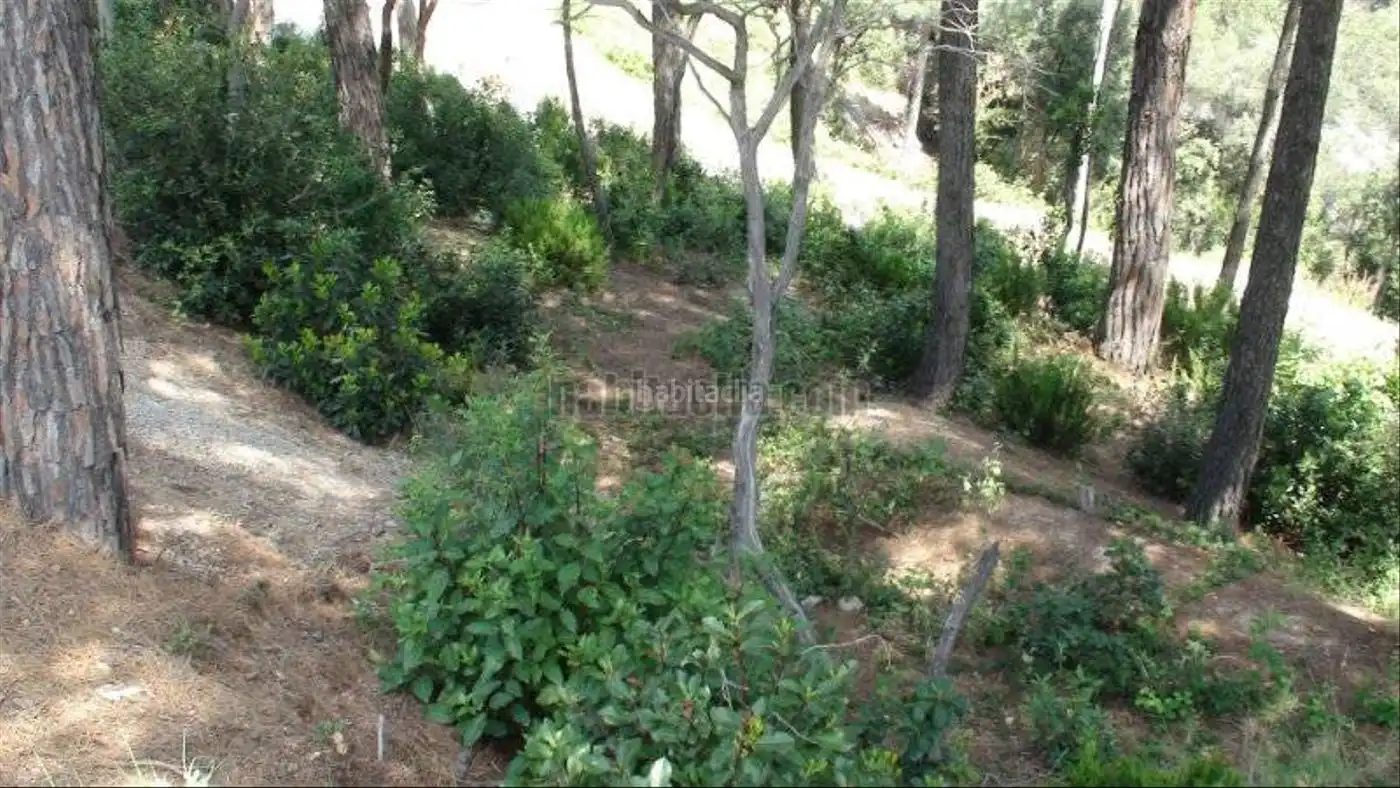 Wohnbaugrundstück zum Verkauf in Carrer de la Pedra 49, imagen 6