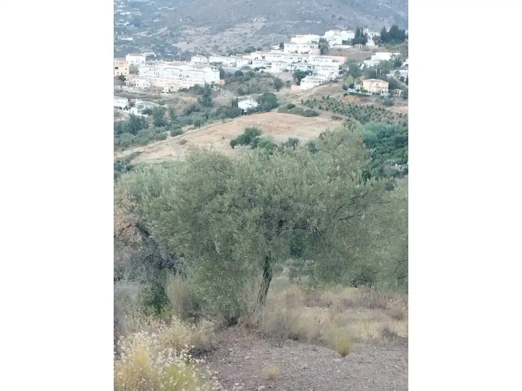 House for sale in Alcaucín, imagen 4