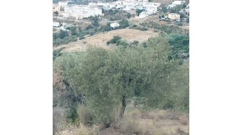 Photo 4 of House or chalet for sale in Alcaucín, Málaga