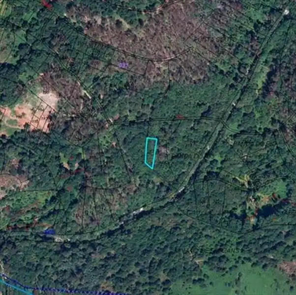 Terreno rustico in vendita a Ponte Caldelas, imagen 2