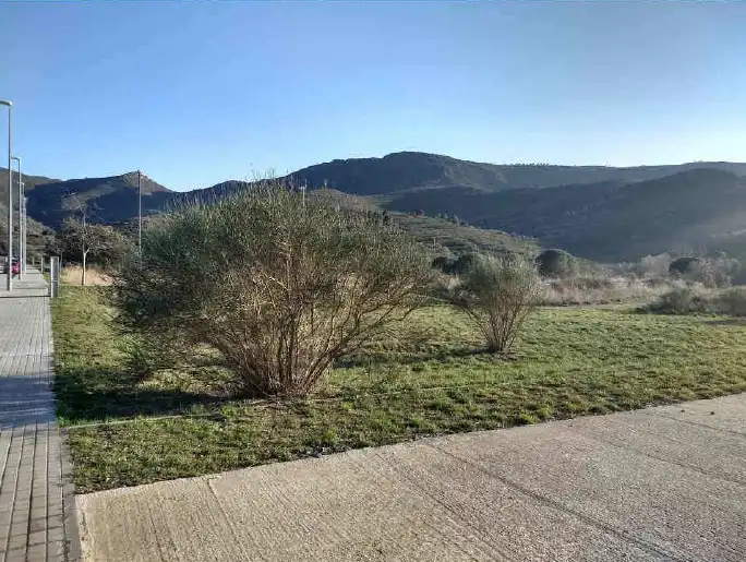 Terreny residencial en venda a Avinguda Antoni Margarits, imagen 2