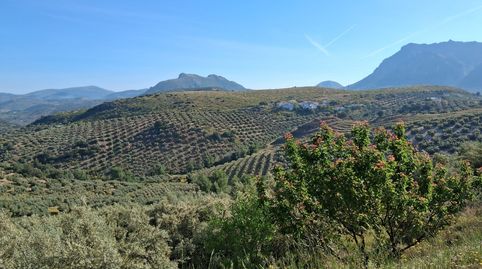 Fincas Cortijo del Cerro, immagine 5