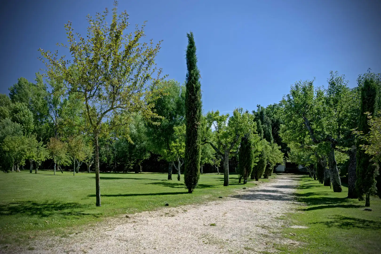 Garden of Houses for sale in Real Sitio de San Ildefonso  with Air Conditioner, Heating and Private garden