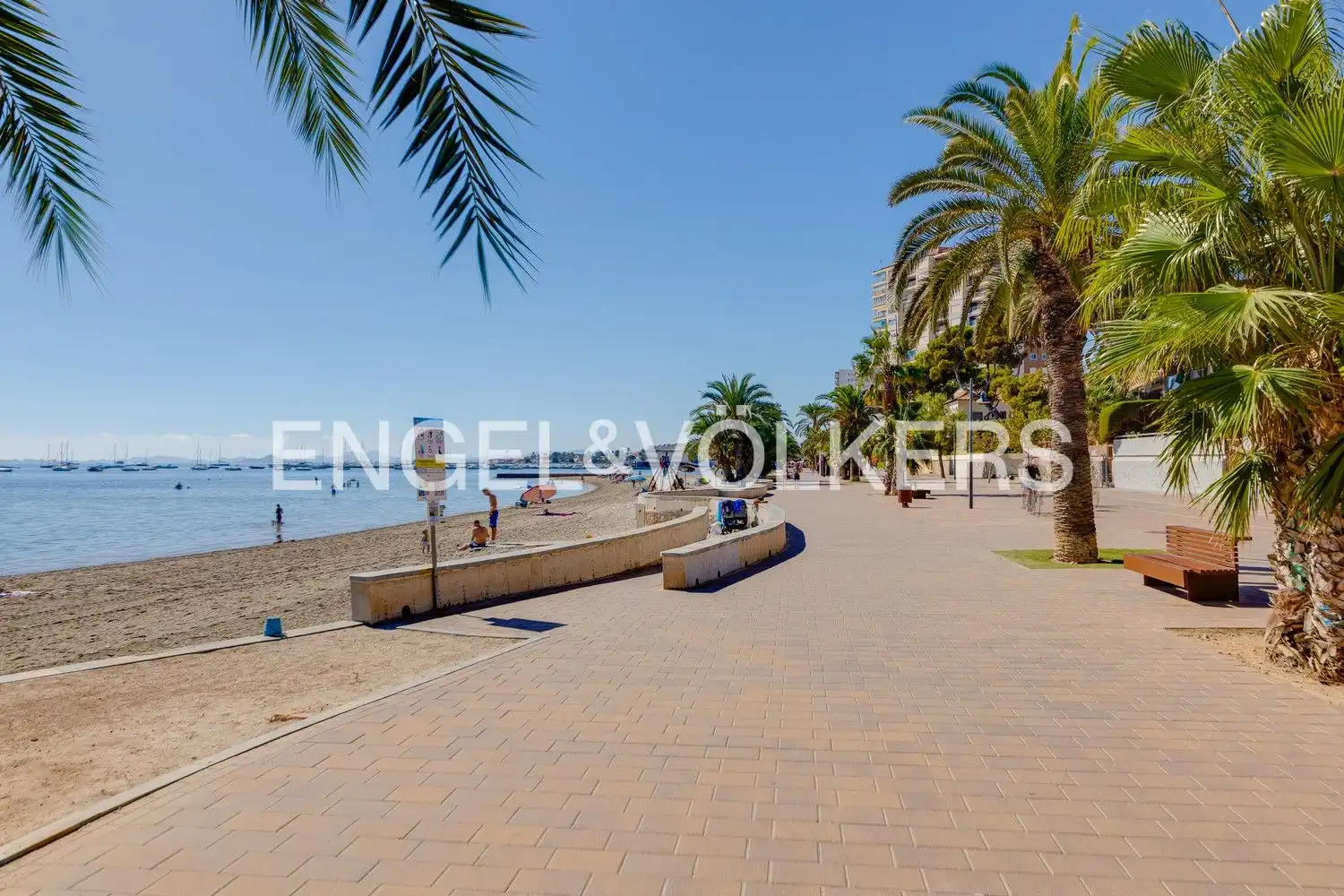 Vista exterior de Casa o chalet en venta en San Pedro del Pinatar con Aire acondicionado, Calefacción y Jardín privado