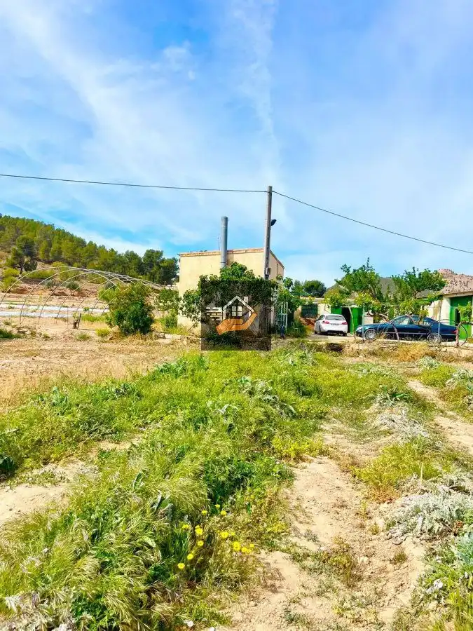 Lands and plots for sale in Vélez-Rubio, imagen 4