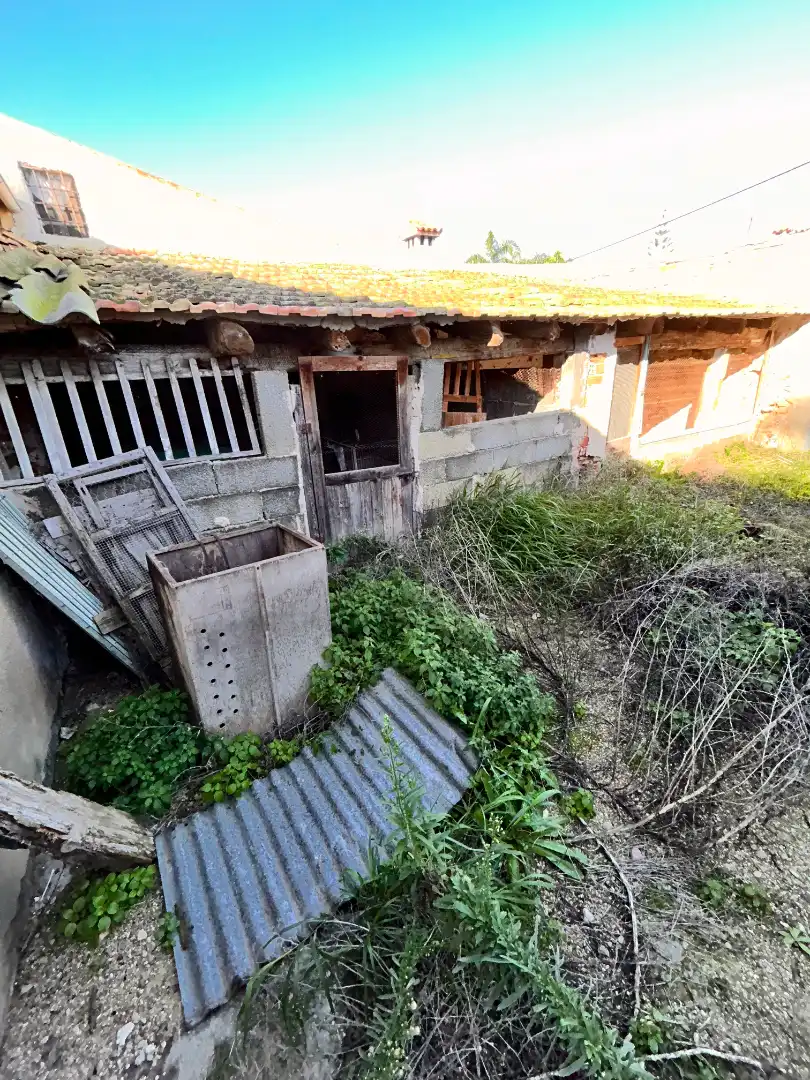 Vista exterior de Casa o xalet en venda en Elche / Elx amb Jardí privat i Moblat