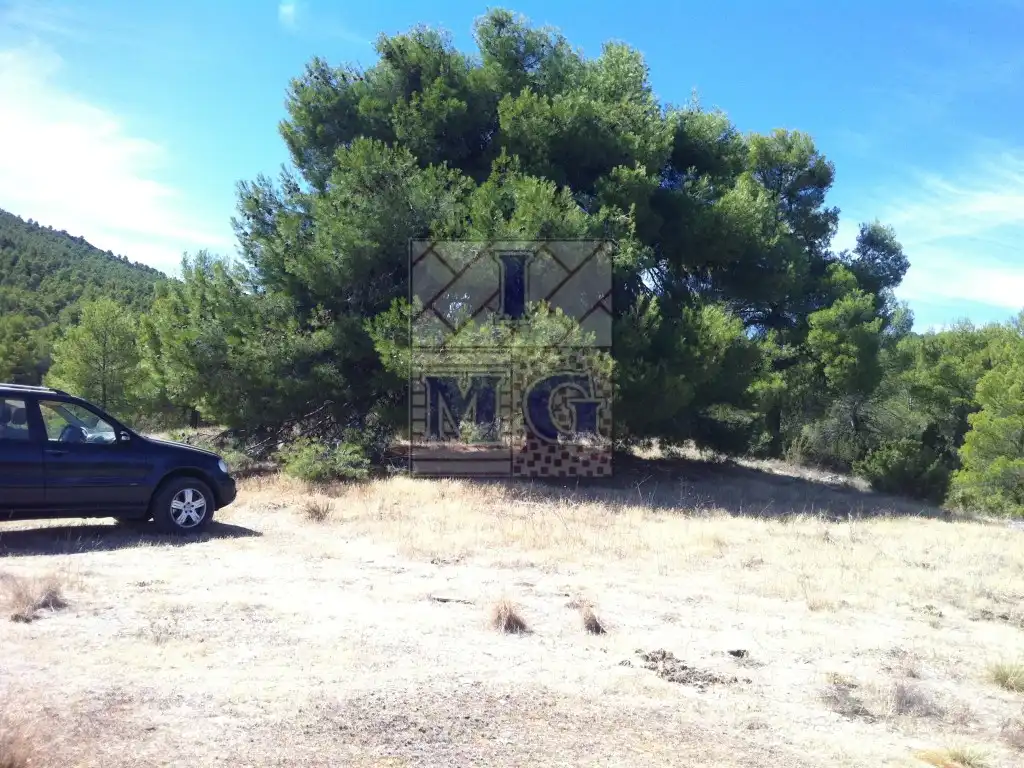 Finca rústica en venta en Yeste