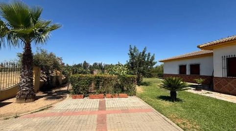 Venta de casa de 4 dormitorios y 2 baños con piscina y almacén, imagen 3
