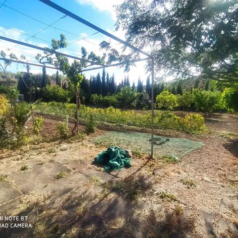 Terreno en Venta en Calle Acera Mío Cid en Cabra