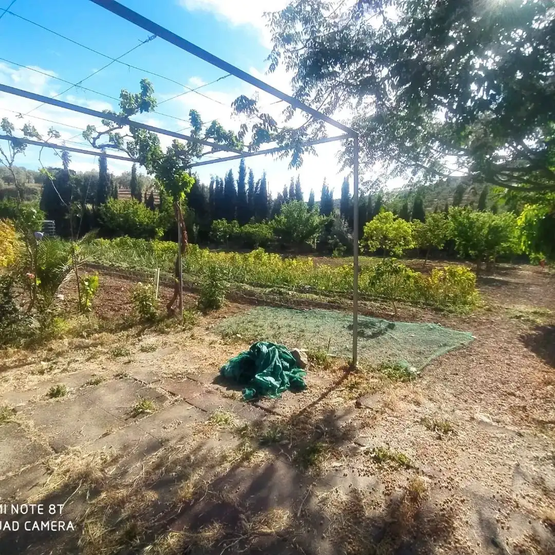 Terreno rustico in vendita a Calle Acera Mío Cid