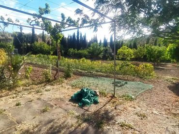 Terreno rustico in vendita a Calle Acera Mío Cid