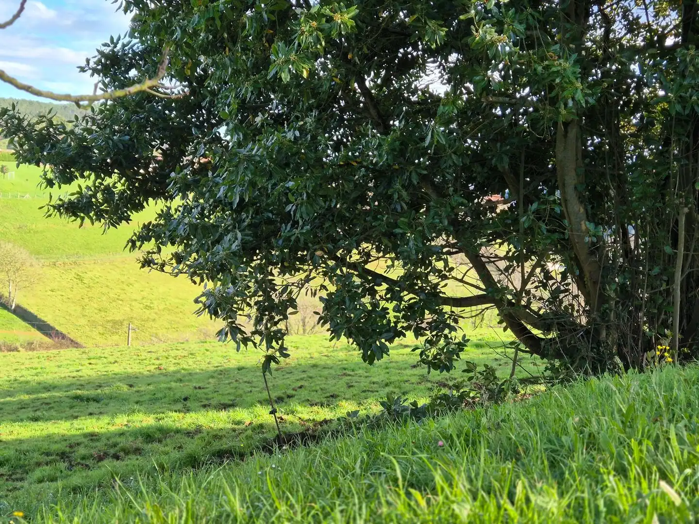 Residencial en venta en Cudillero